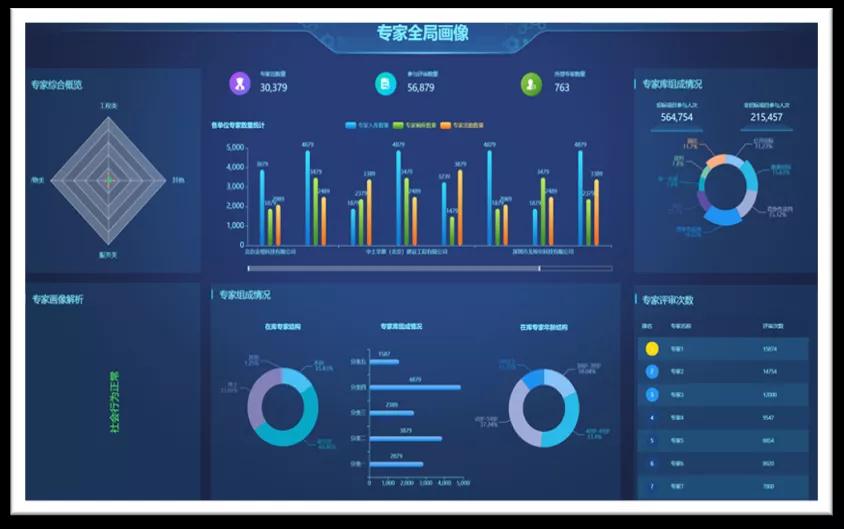 专家全局画像