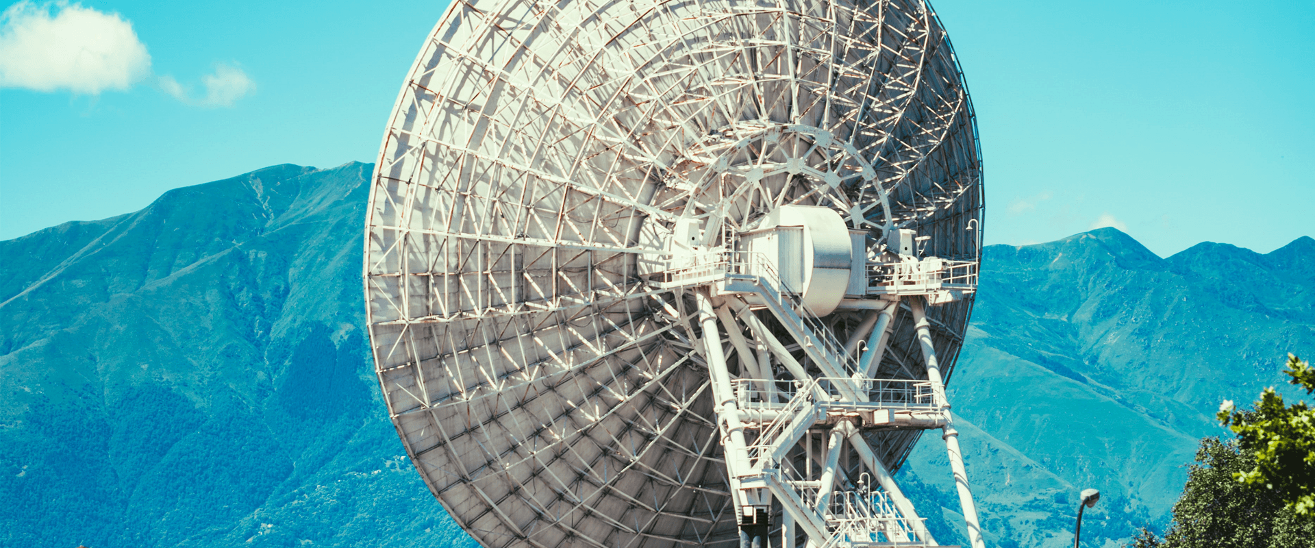 中通服电子招标系统